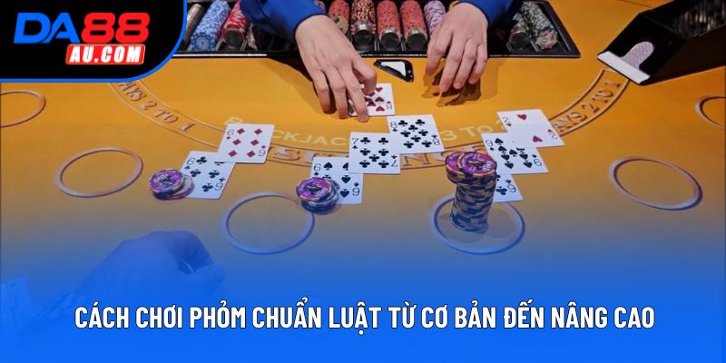Cách Chơi Phỏm Chuẩn: Luật Từ Cơ Bản Đến Nâng Cao Cho Bạn