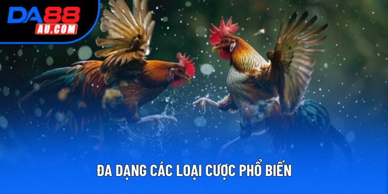 Đa dạng các loại cược phổ biến