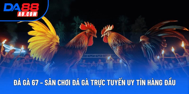Đá Gà 67 – Sân Chơi Đá Gà Trực Tuyến Uy Tín Hàng Đầu