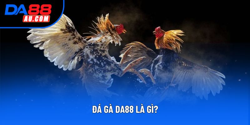 Đá gà DA88 là gì?
