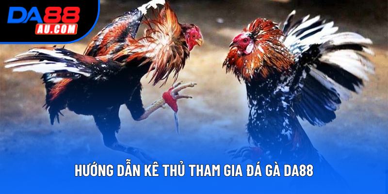 Hướng dẫn kê thủ tham gia đá gà DA88