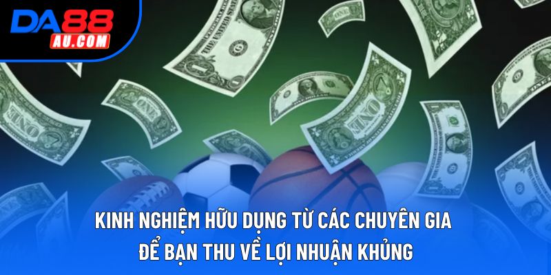 Kinh nghiệm hữu dụng từ các chuyên gia để bạn thu về lợi nhuận khủng