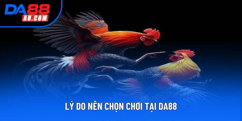 Lý do nên chọn chơi tại DA88