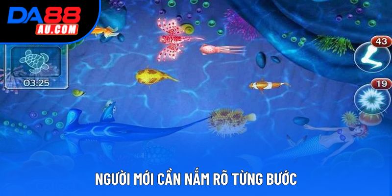 Người mới cần nắm rõ từng bước